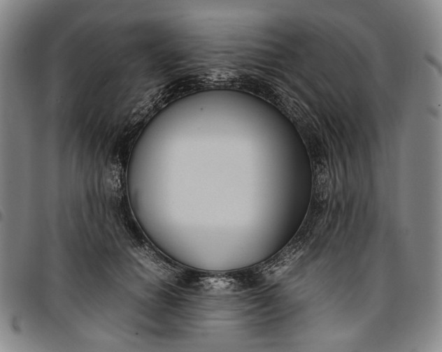 X0000096670654200802191330