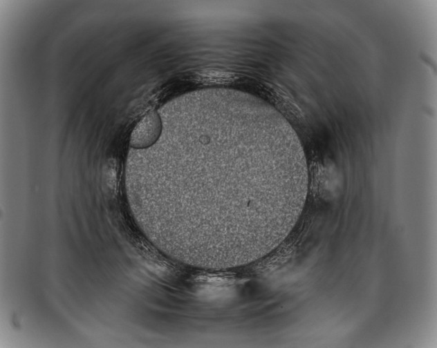 X0000096670655200802191330