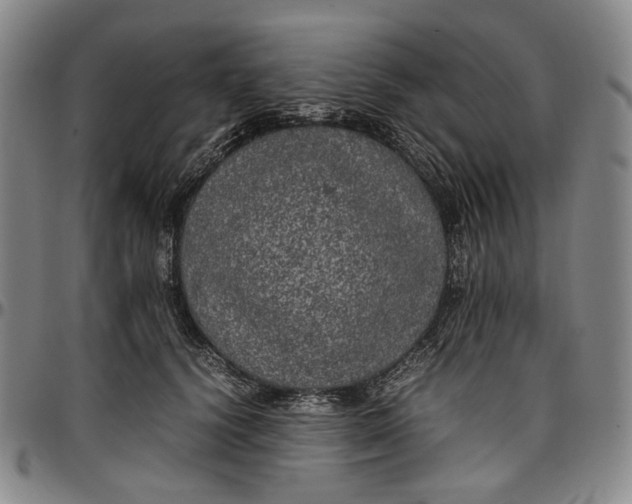 X0000096670656200802191330