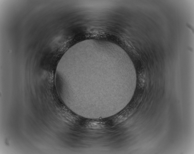 X0000096670657200802191330