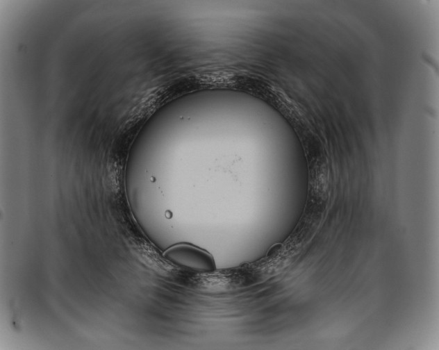 X0000096670658200802191330