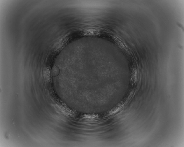 X0000096670659200802191330