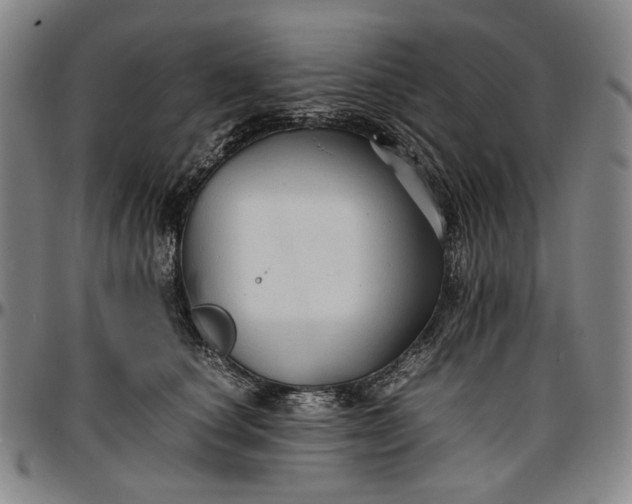 X0000096670660200802191330