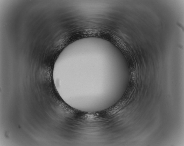 X0000096670662200802191330