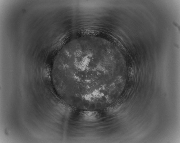 X0000096670663200802191330