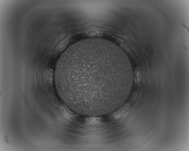 X0000096670664200802191330