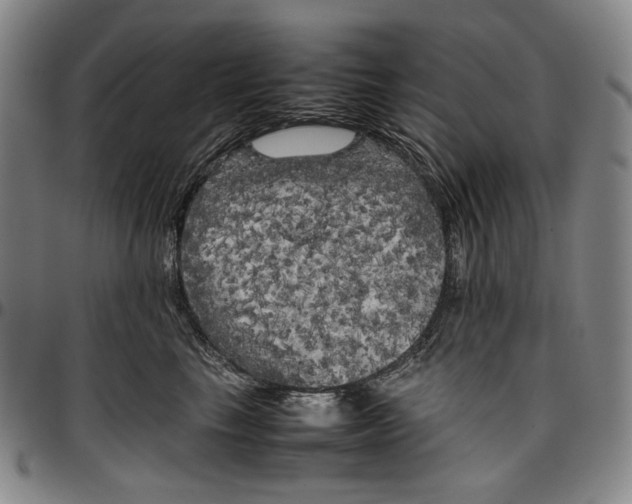 X0000096670665200802191330