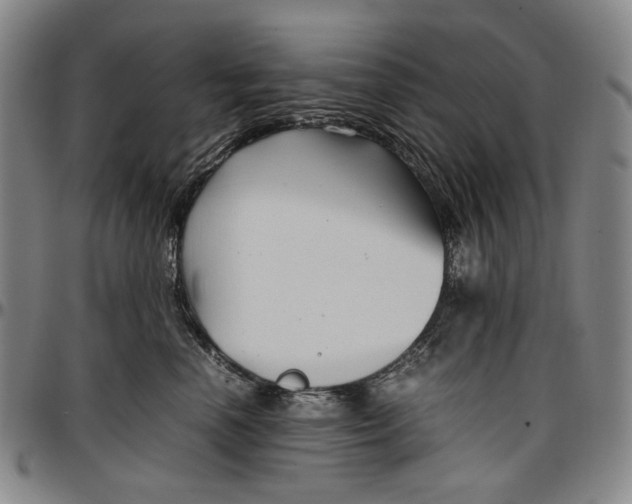 X0000096670666200802191330
