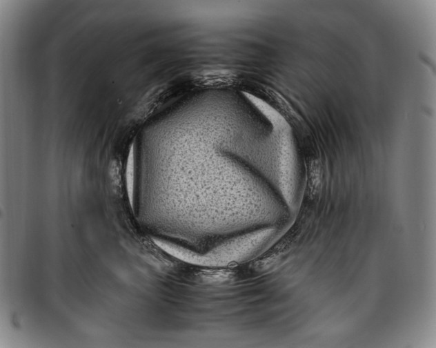 X0000096670667200802191330