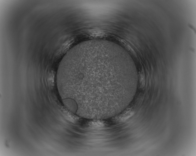 X0000096670668200802191330