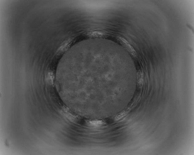 X0000096670669200802191330