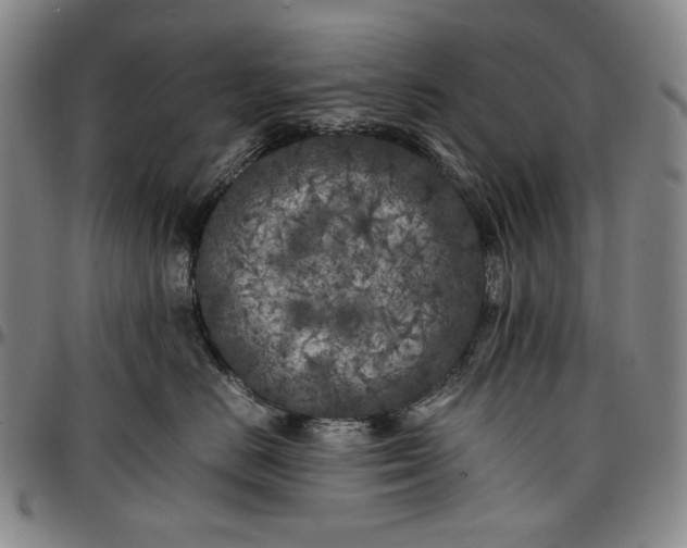 X0000096670670200802191330