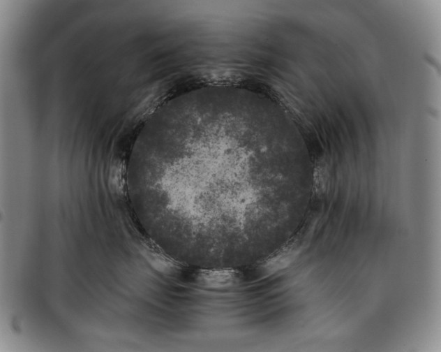 X0000096670671200802191330