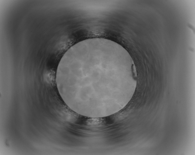 X0000096670672200802191331