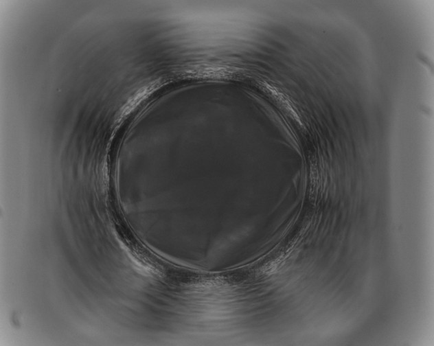X0000096670674200802191330
