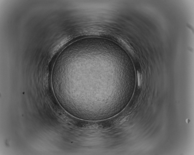 X0000096670675200802191330