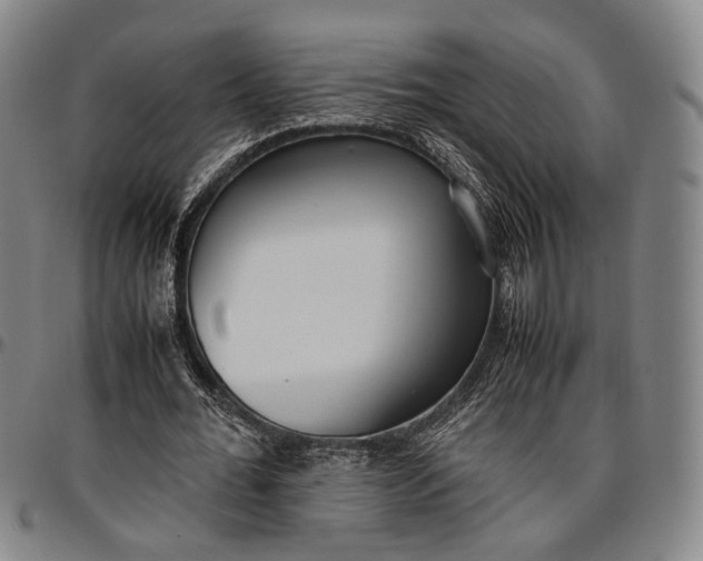X0000096670676200802191330