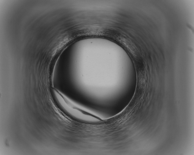 X0000096670677200802191330
