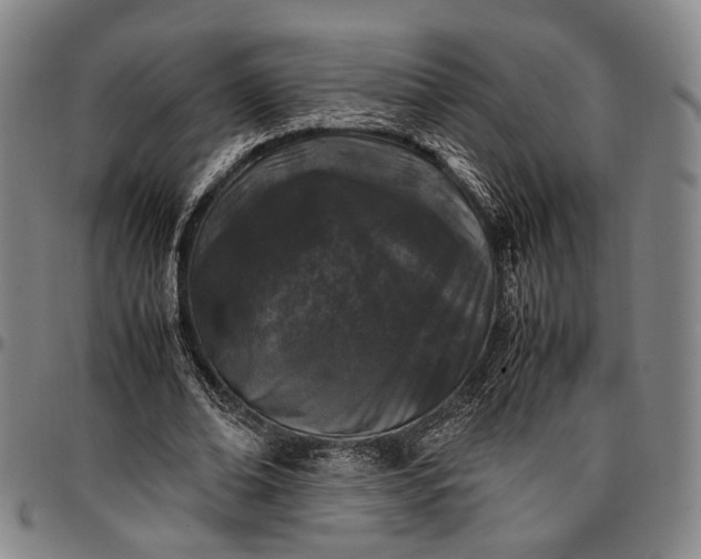 X0000096670678200802191330