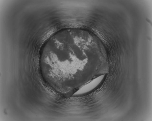 X0000096670679200802191330