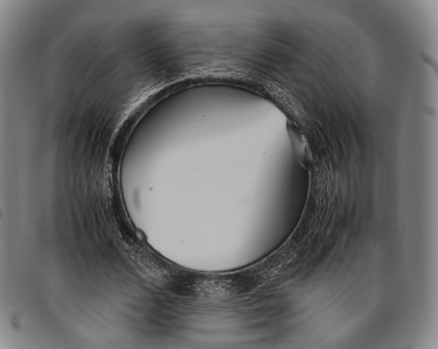 X0000096670680200802191330