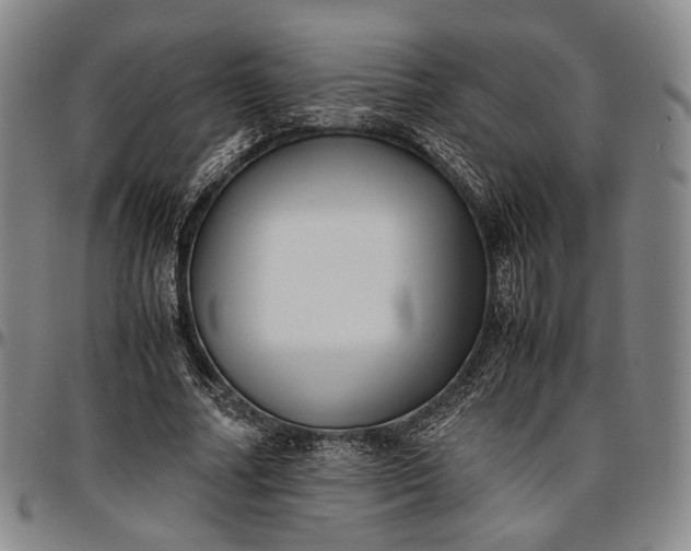 X0000096670682200802191330