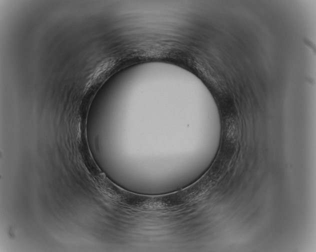 X0000096670685200802191330