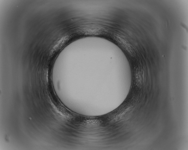 X0000096670686200802191330