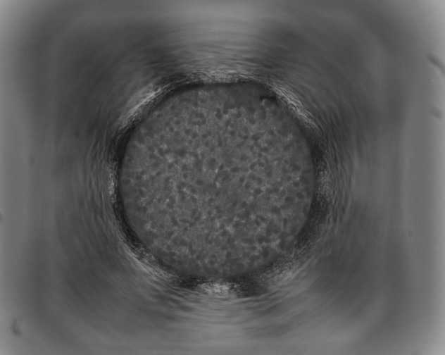 X0000096670687200802191330
