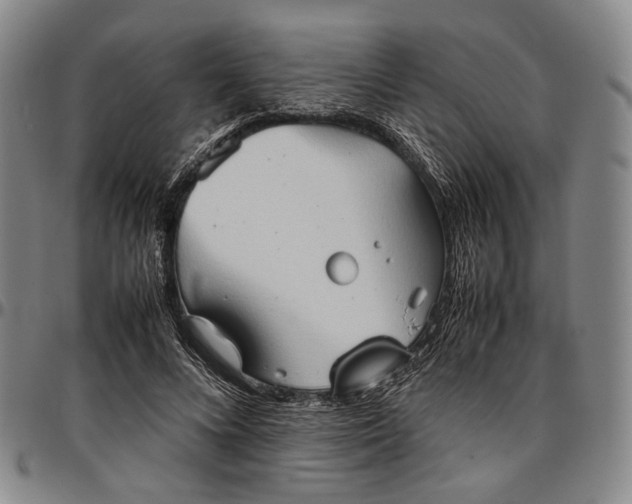 X0000096670688200802191330