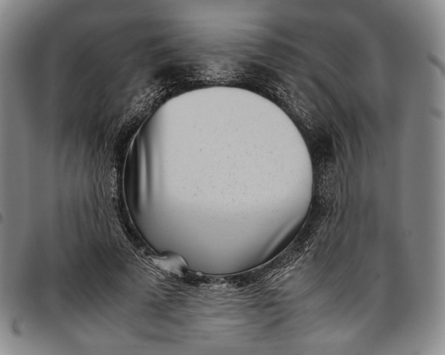 X0000096670689200802191330