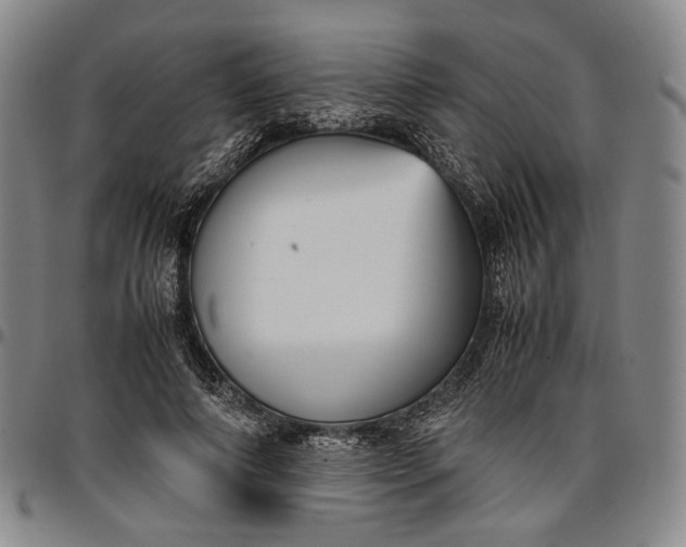 X0000096670690200802191330