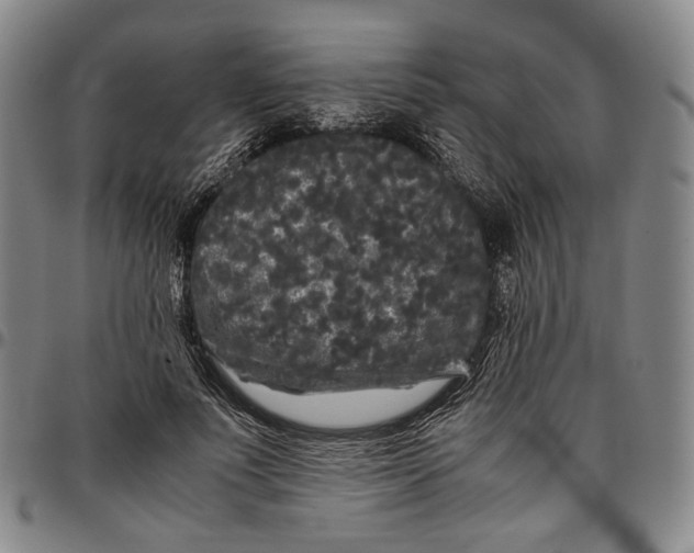 X0000096670691200802191330