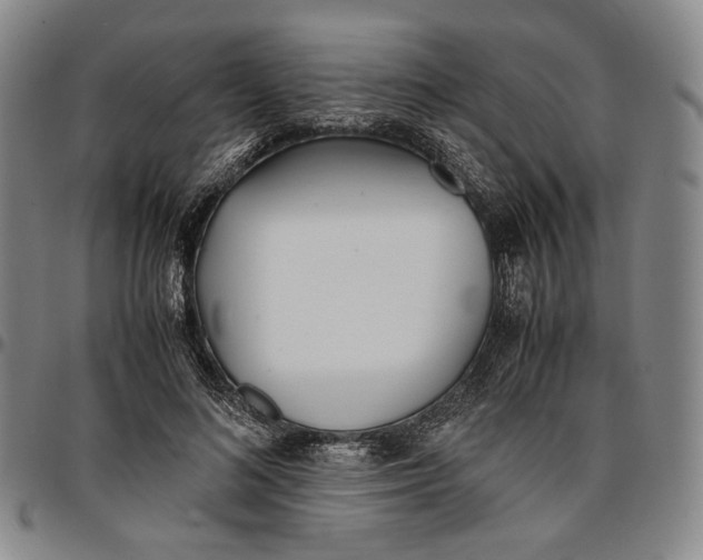 X0000096670692200802191330