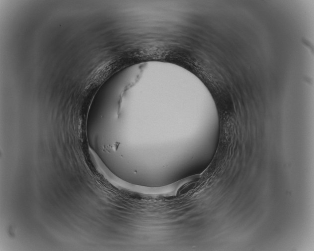 X0000096670693200802191330