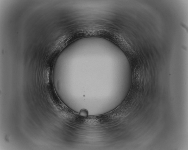 X0000096670694200802191330