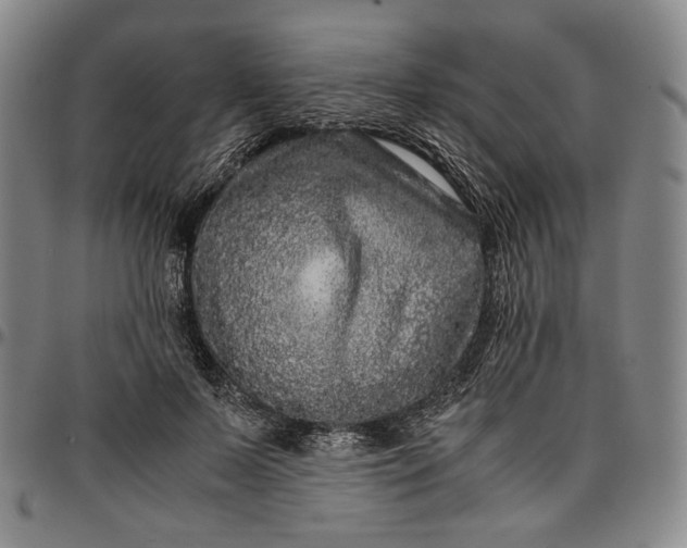 X0000096670695200802191330