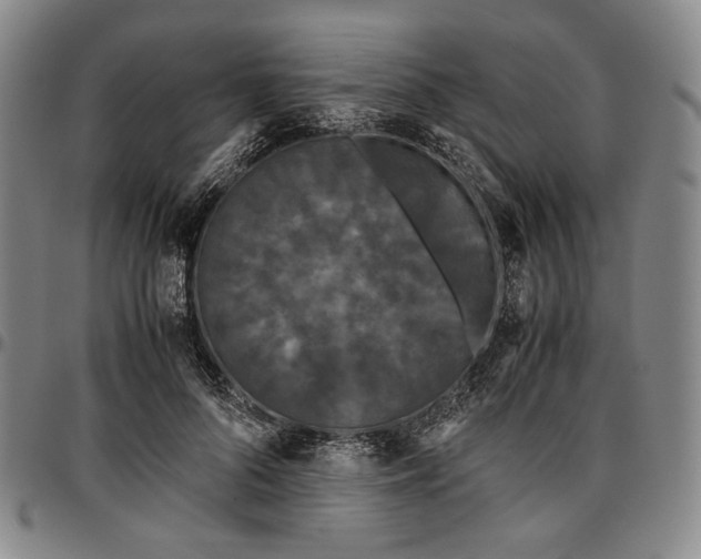 X0000096670696200802191330