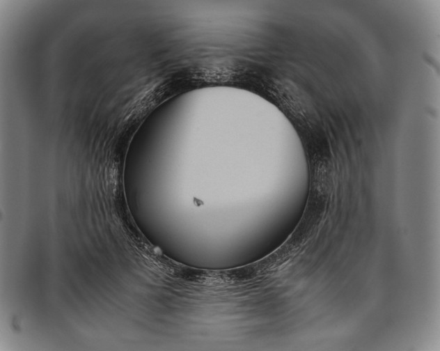 X0000096670697200802191330