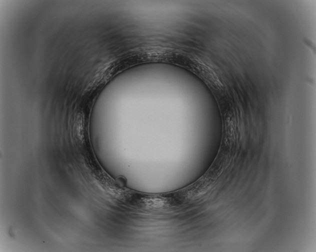 X0000096670698200802191330