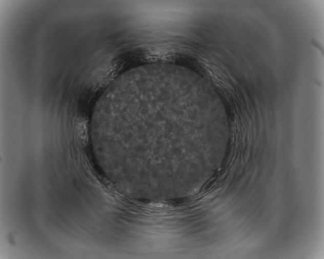 X0000096670699200802191330