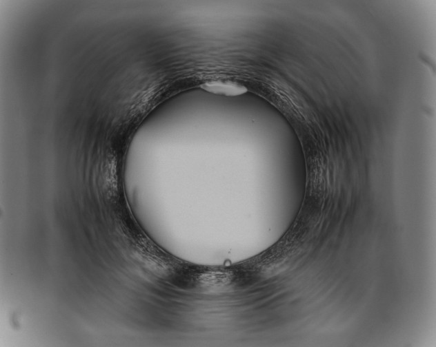 X0000096670700200802191329