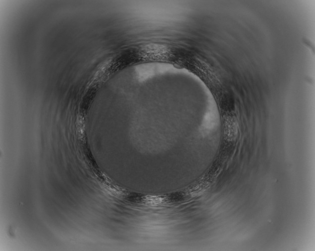 X0000096670701200802191329