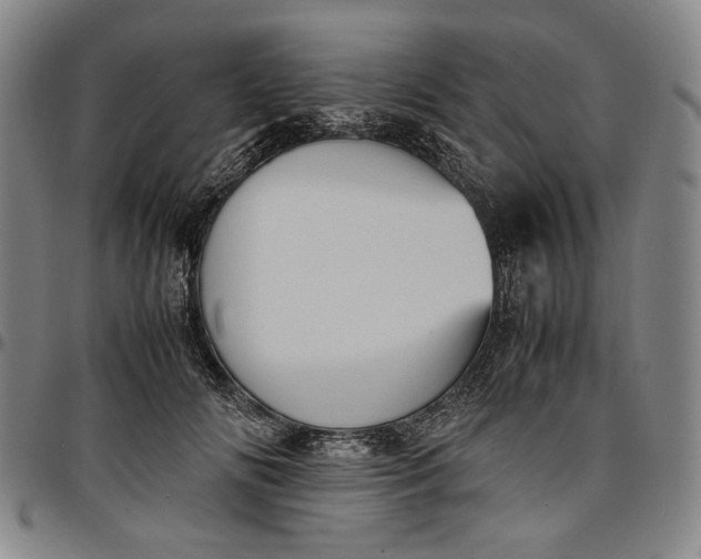 X0000096670702200802191329