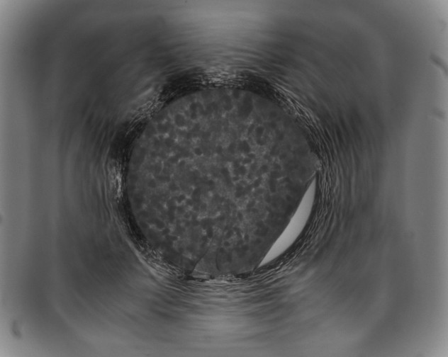 X0000096670703200802191329
