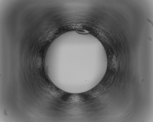 X0000096670704200802191329
