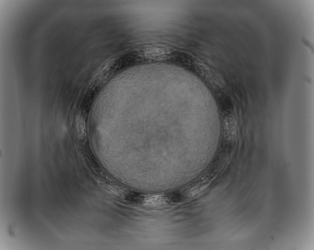 X0000096670705200802191329