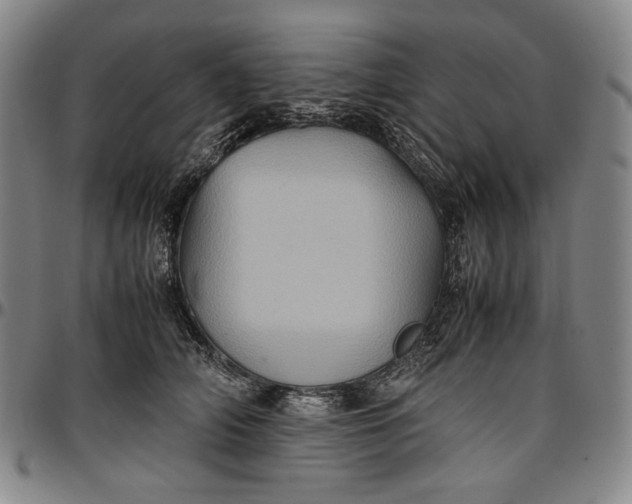 X0000096670706200802191329