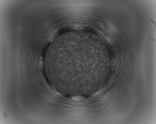X0000096670707200802191329