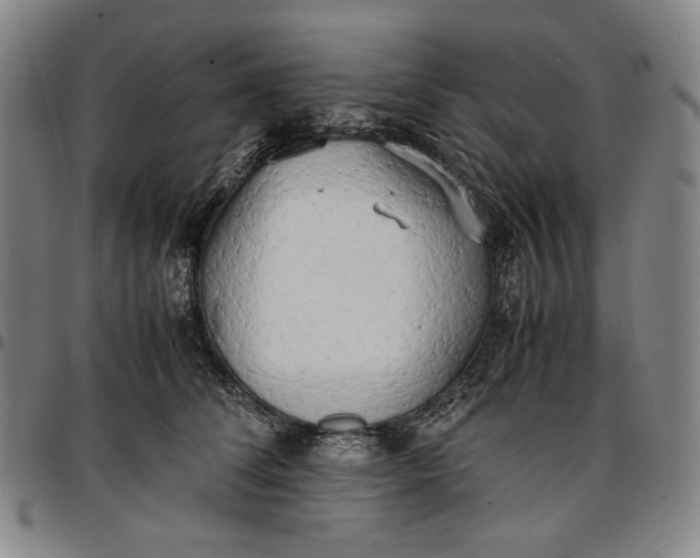 X0000096670708200802191329